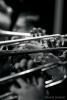 Clayton Orchestra (16)